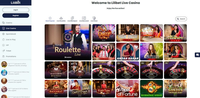 Lilibet Casino Norge: En komplett spillopplevelse